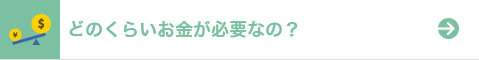 どのくらいお金が必要なの？