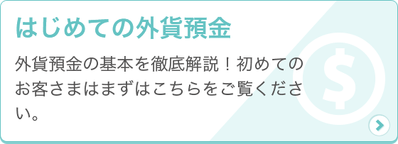 [はじめての外貨預金] 外貨預金の基本を徹底解説！初めてのお客さまはまずはこちらをご覧ください。