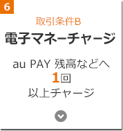 取引条件B 電子マネーチャージ