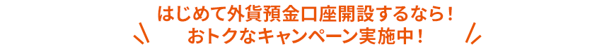 はじめて外貨預金口座開設するなら！おトクなキャンペーン実施中！