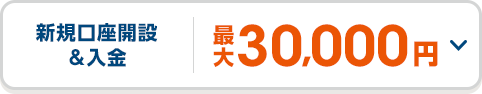 新規口座開設&入金 最大30,000円