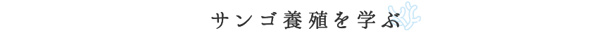 サンゴ養殖を学ぶ