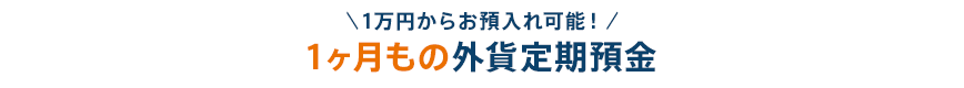 ＼1万円からお預入れ可能！／ 1ヶ月もの外貨定期預金