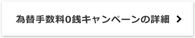 為替手数料0銭キャンペーンの詳細