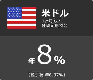 米ドル 1ヶ月もの外貨定期預金 年8.0% （税引後 年6.37%）