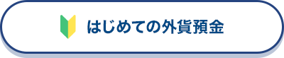 はじめての外貨預金
