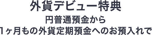 外貨デビュー特典