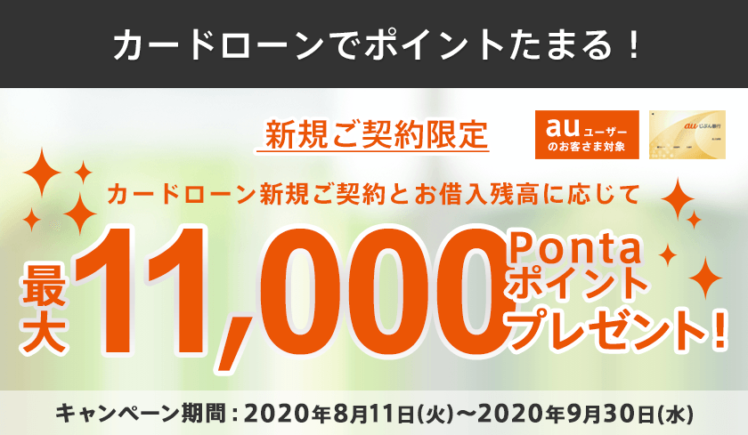 カードローンでポイントたまる！