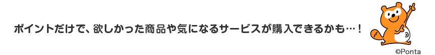 ポイントだけで、欲しかった商品や気になるサービスが購入できるかも…！