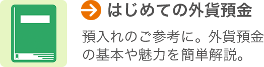 [はじめての外貨預金] 預入れのご参考に。外貨預金の基本や魅力を簡単解説。