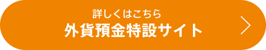 [外貨預金特設サイト] 詳しくはこちら