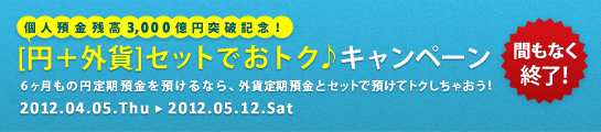 【個人預金残高3,000億円突破記念！】［円＋外貨］セットでおトク♪キャンペーン