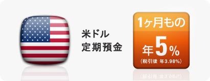 1ヶ月もの米ドル定期預金年5%！（税引後 年3.98%）