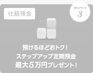 キャンペーン3 仕組預金 預けるほどおトク！ステップアップ定期預金 最大5万円プレゼント！