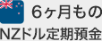 6ヶ月ものNZドル定期預金