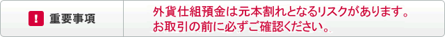 重要事項 外貨仕組預金には元本割れとなるリスクがあります。お取引の前に必ずご確認ください。