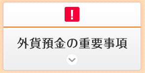 外貨預金の重要事項