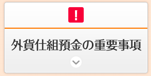 外貨仕組預金の重要事項