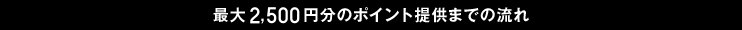最大2,500円分のポイント提供までの流れ