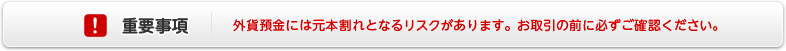 【重要事項】外貨預金には元本割れとなるリスクがあります。お取引の前に外貨預金の重要事項を必ずご確認ください。