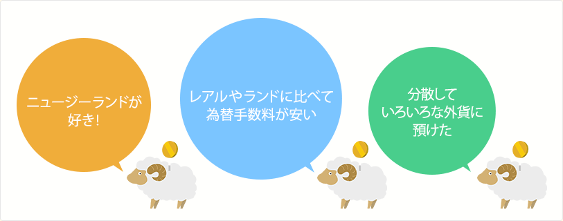 ニュージーランドが好き！ レアルやランドに比べて為替手数料が安い 分散していろいろな外貨に預けた