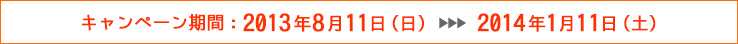 キャンペーン期間：2013年8月11日（日）〜2014年1月11日（土）