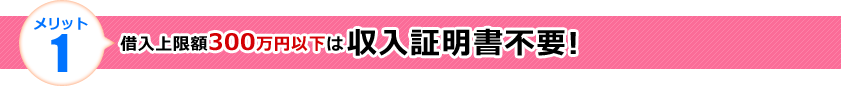 メリット1 借入上限額300万円以下は収入証明書不要!