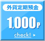 外貨定期預金 1,000p