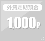 外貨定期預金 1,000p