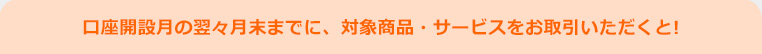 口座開設月の翌々月末までに、対象商品・サービスをお取引いただくと!