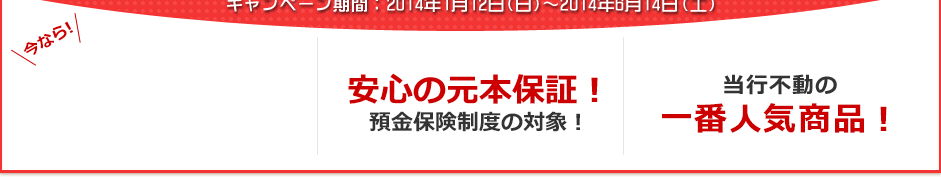 安心の元本保証！預金保険制度の対象！　当行不動の一番人気商品！