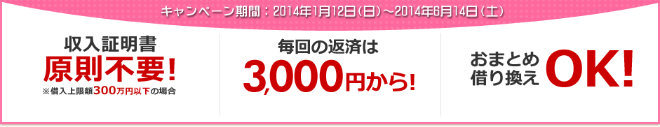 収入証明書原則不要!※借入上限額300万円以下の場合 毎回の返済は3,000円から! おまとめ借り換えOK!