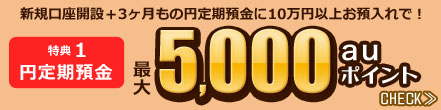 特典1 円定期預金 新規口座開設+3ヶ月もの円定期預金に10万円以上お預入れで! 最大5,000auポイント 
