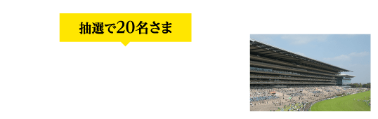 景品B 抽選で20名さま 東京競馬場にご招待！（競馬ビギナーズセミナー）