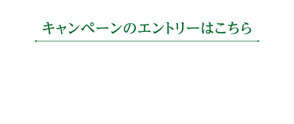 キャンペーンのエントリーはこちら