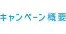 キャンペーン概要