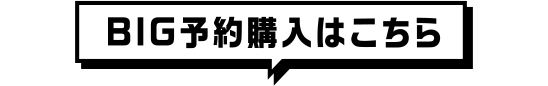 BIG予約購入はこちら