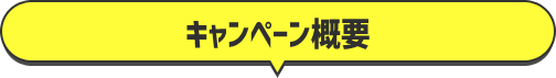 キャンペーン概要