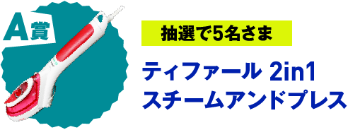 A賞 抽選で5名さま ティファール 2in1スチームアンドプレス