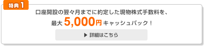 [特典1]口座開設から翌々月までの現物株式約定で取引手数料を最大5,000円キャッシュバック