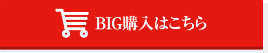 BIG購入はこちら