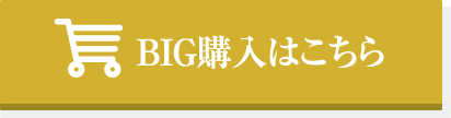 BIG購入はこちら