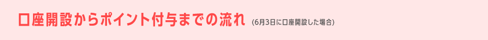 口座開設からポイント付与までの流れ