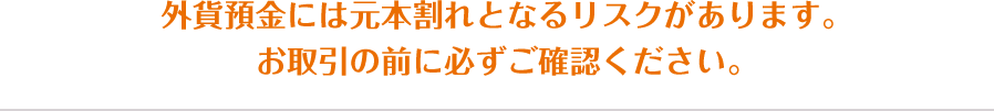 外貨預金には元本割れとなるリスクがあります。お取引の前に必ずご確認ください。