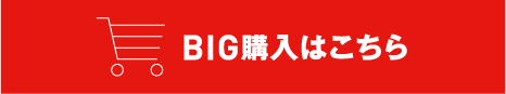 BIG購入はこちら