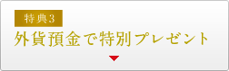 外貨お預替えで特別プレゼント