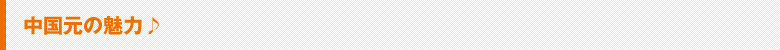 中国元の魅力♪