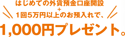 はじめての外貨預金口座開設+1回5万円以上のお預入れで、1,000円プレゼント。