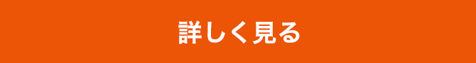 詳しく見る