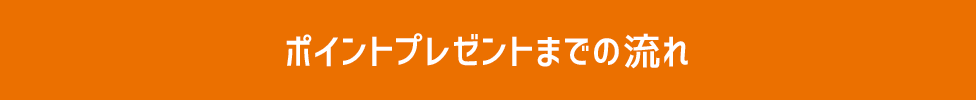 ポイントプレゼントまでの流れ